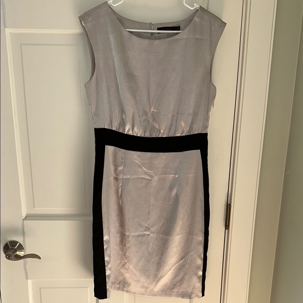The Limited Silver and Black Sheath Dress Sleeveless Crew Neck